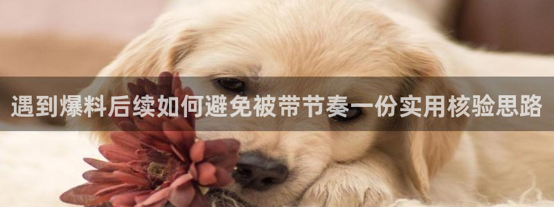 吃瓜爆料资讯