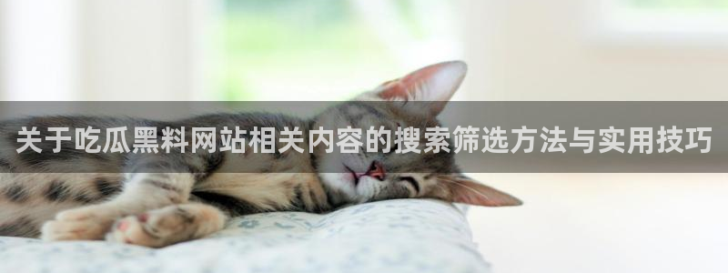 51吃瓜网络资讯
